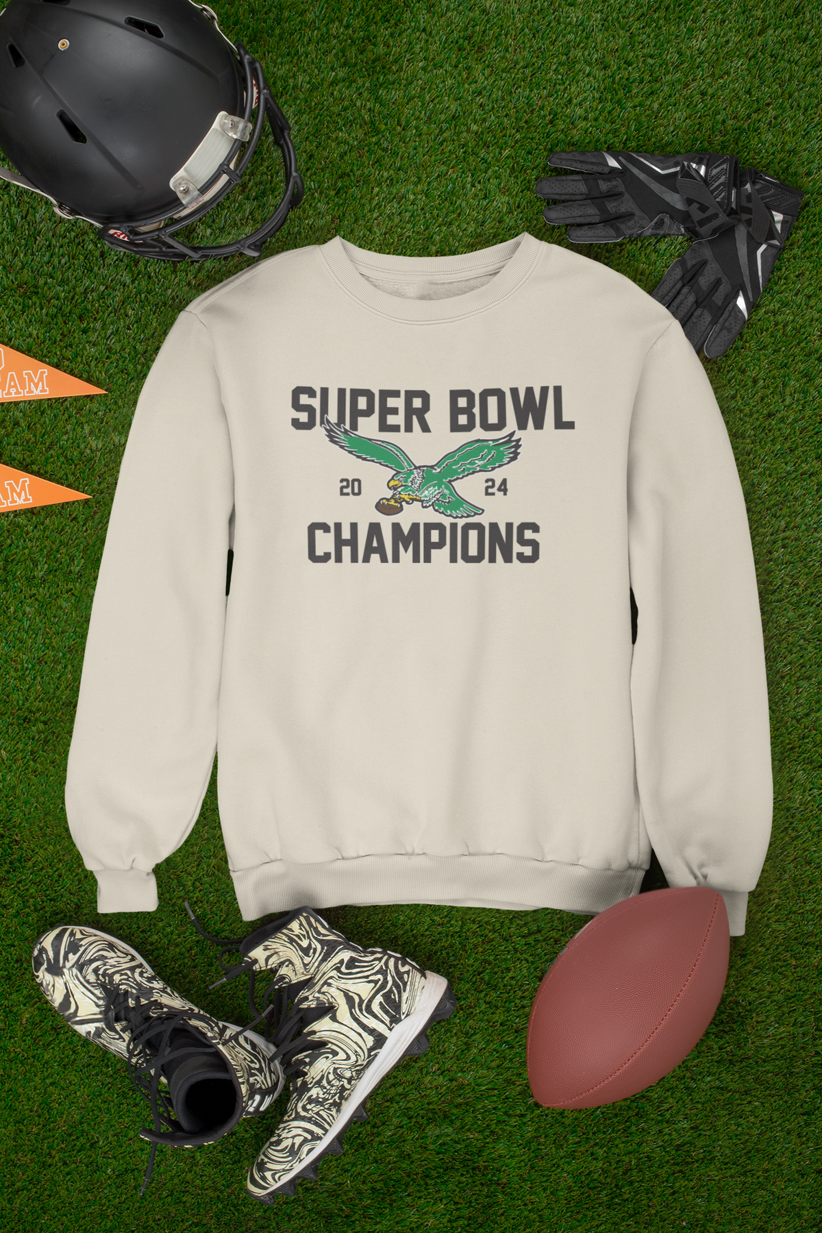 Philadelphia Football, SUPER BOWL, Game Day Crewneck Sweatshirt, Old School Bird Quality