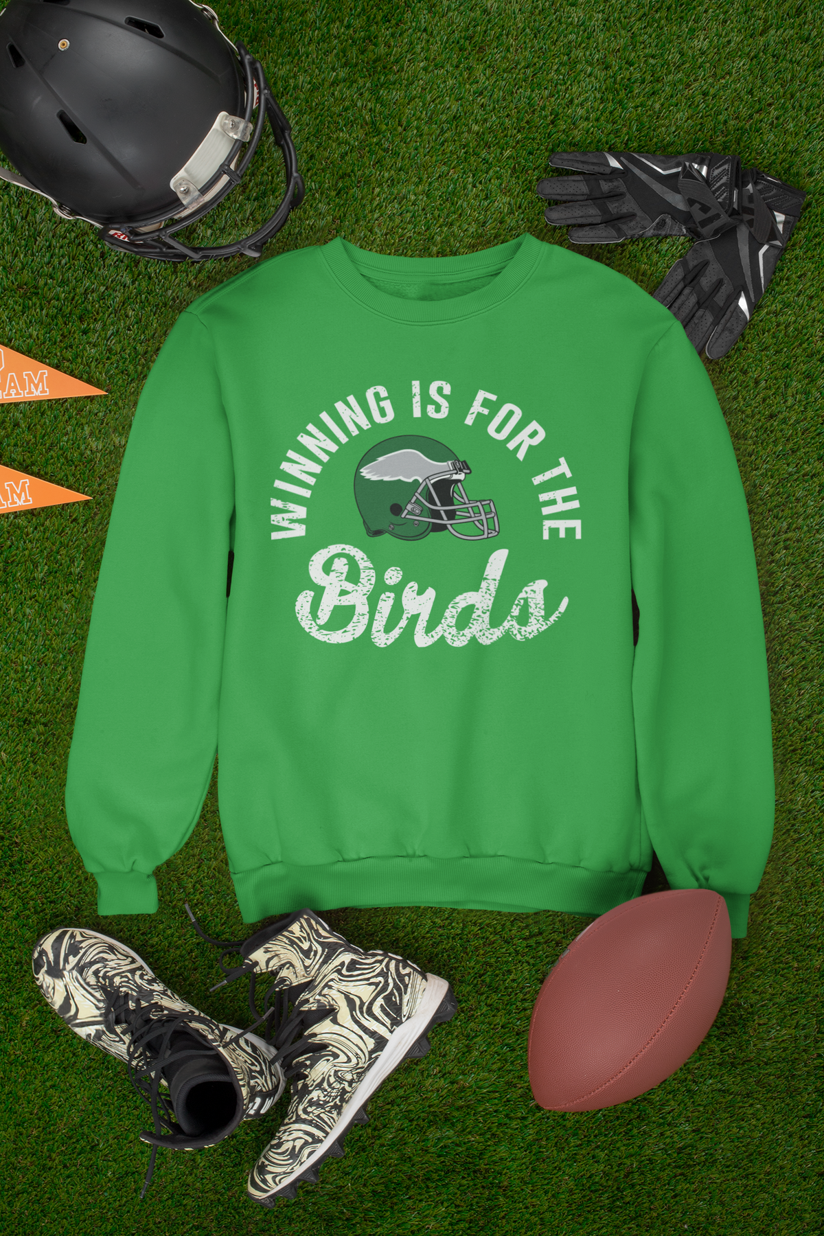 Philadelphia Football, Game Day Crewneck Sweatshirt, Winning Is For The Birds, High Quality